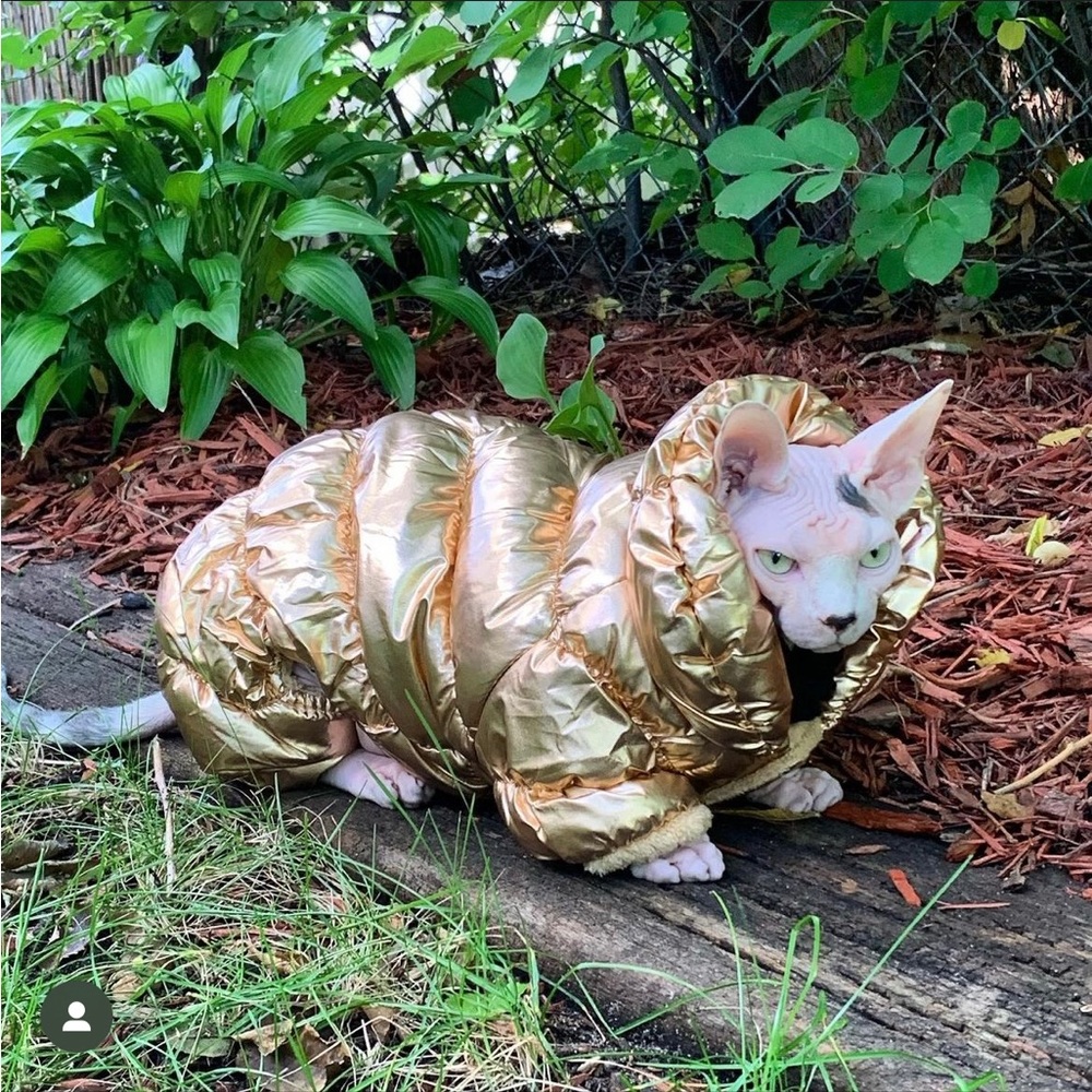 Comfy cozy winter coat for pet size large fits more small medium